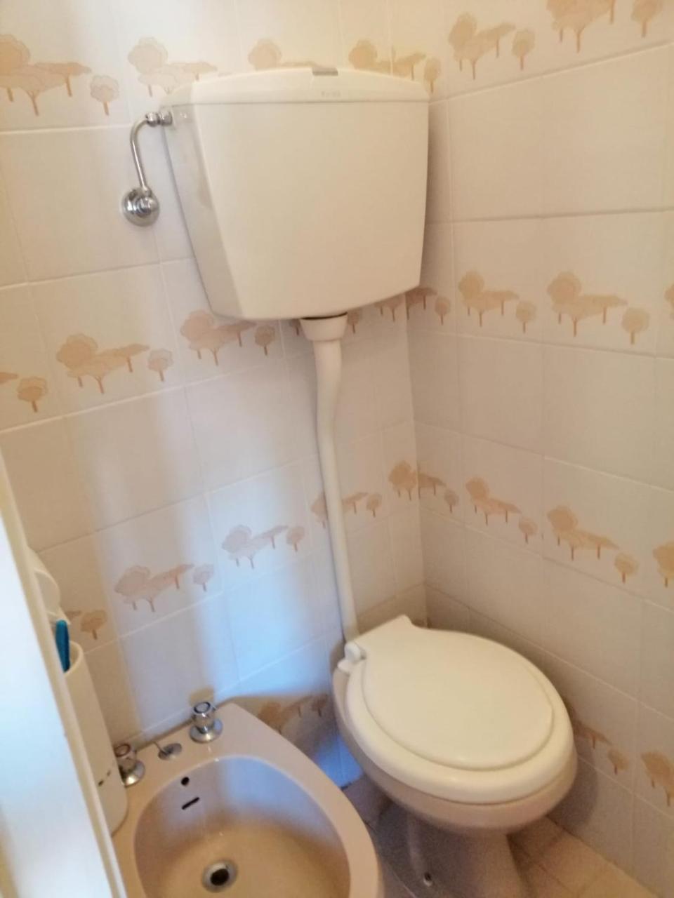 רימיני Hotel Manolita מראה חיצוני תמונה